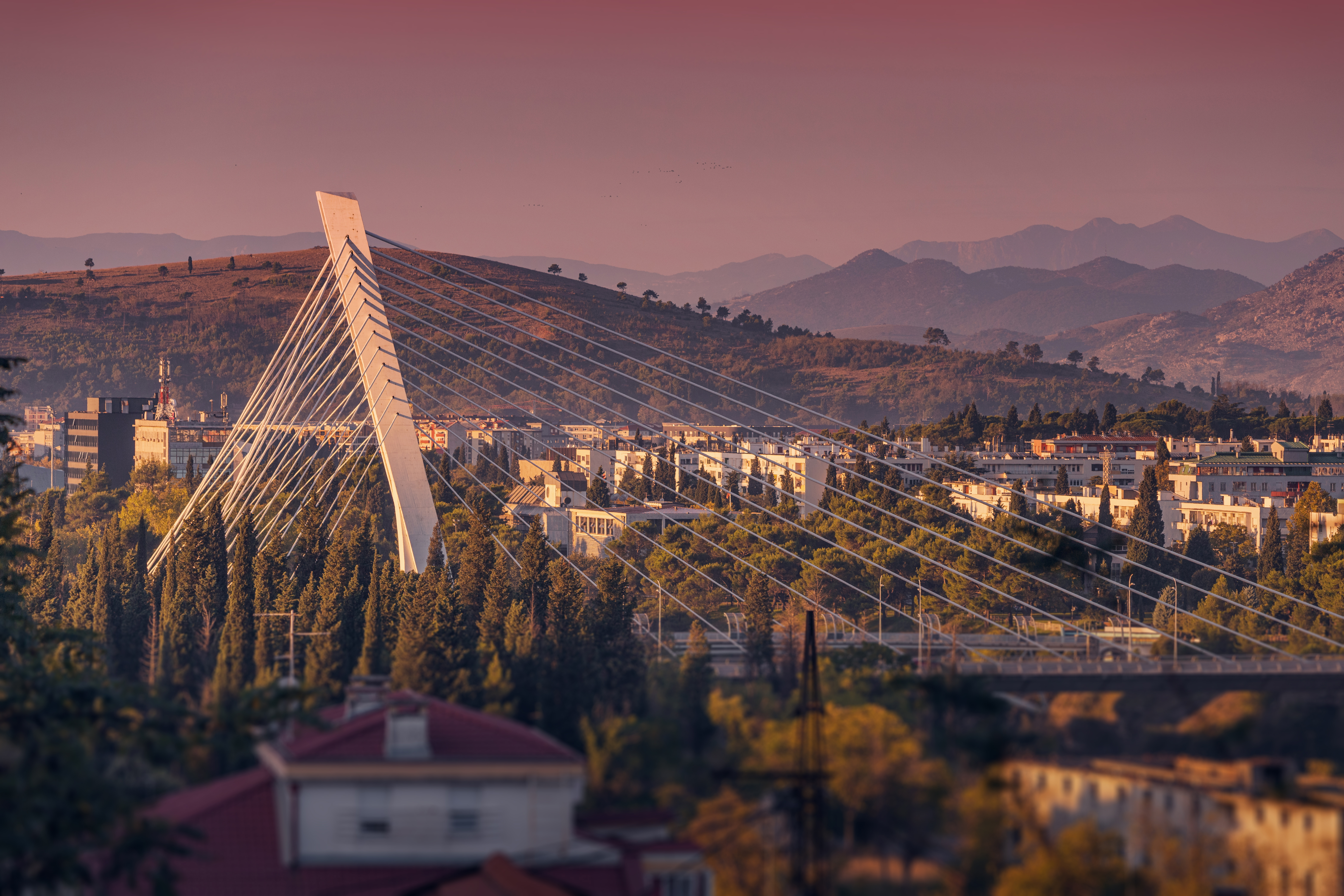 Montenegro / Podgorica image